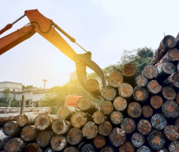 Безопасные методы и приемы работ по валке леса в особо опасных условиях