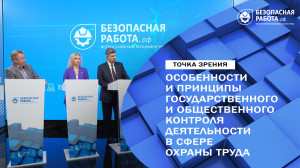 Особенности и принципы государственного и общественного контроля деятельности в сфере охраны труда