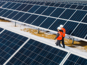 «Передовой опыт в организации безопасного труда. Вектор в будущее» на Сибирской строительной неделе